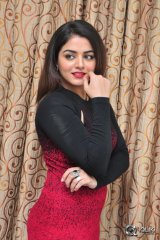 Wamiqa Gabbi at Bhale Manchi Roju Movie Press Meet